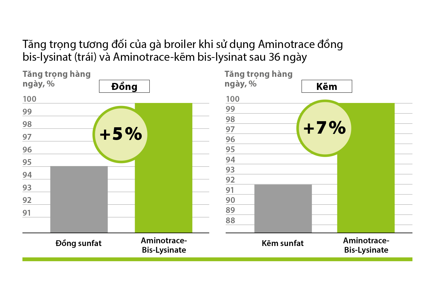 AMINOTRACE Gia cầm AMINOTRACE Gia cầm