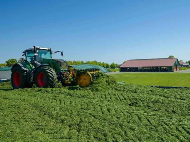 Grassilierung Grassilierung